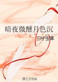 暗夜微醺月色沉
