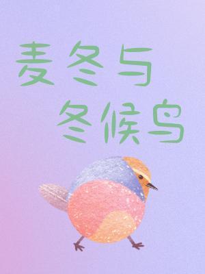 麥冬與冬候鳥