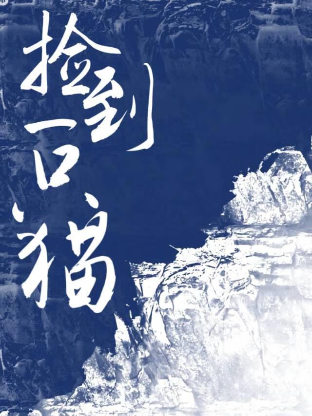 撿到一只白貓