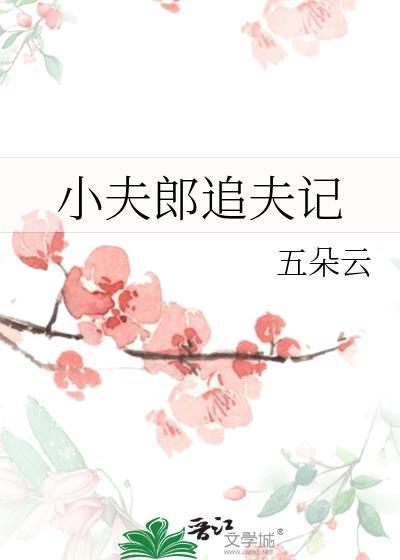 小夫郎追夫記