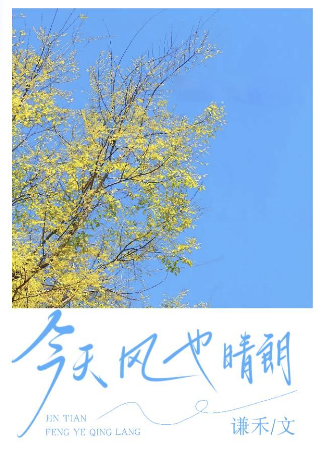 今天，風也晴朗