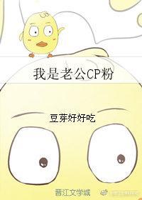 我是老公CP粉
