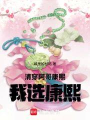 清穿:阿哥,康熙,我選康熙