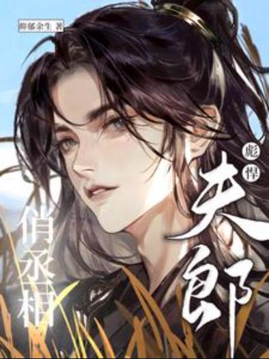彪悍夫郎俏丞相