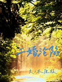 二婚淪陷