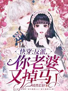 快穿：反派，你老婆又掉馬了