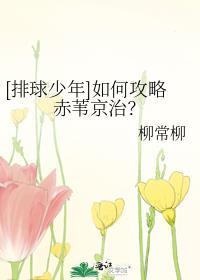 [排球少年]如何攻略赤葦京治？