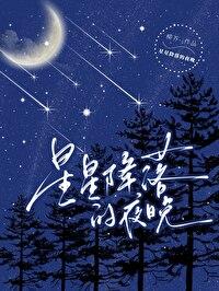 星星降落的夜晚