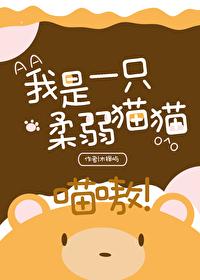 我是一只柔弱貓貓,喵嗷!(星際)