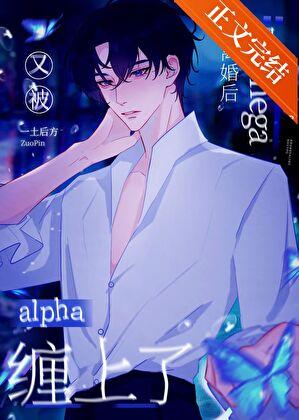 和o離婚後,又被alpha纏上了