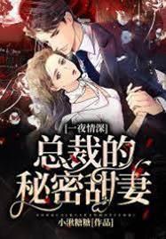 一夜情深:總裁的秘密甜妻