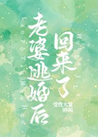 老婆逃婚後回來了!