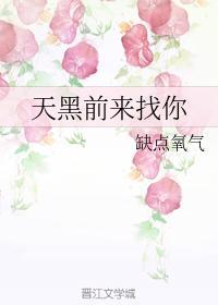 天黑前來找你