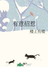 有意招惹