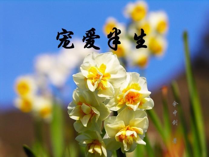寵愛半生