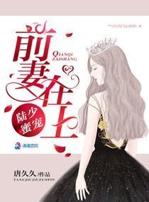 陸少蜜寵:前妻在上