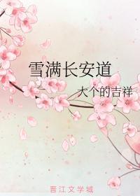 雪滿長安道