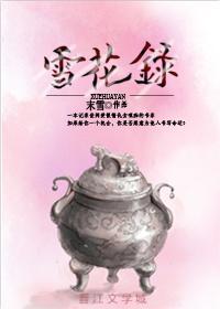 雪花錄