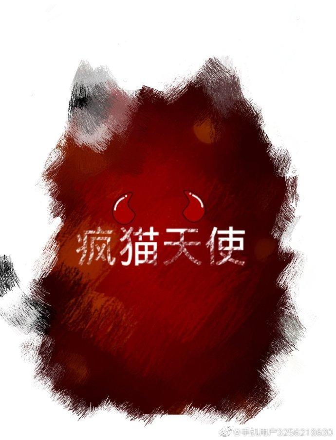 瘋貓天使