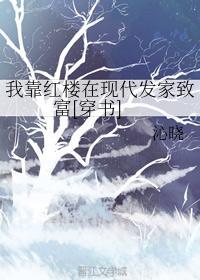 我靠紅樓在現代發家致富[穿書]