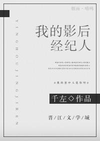 愛豆成了我對象之後