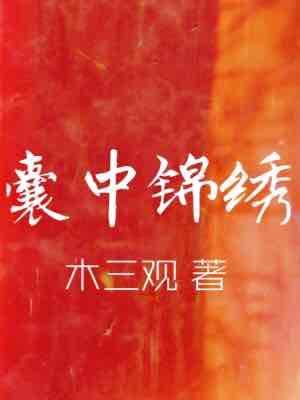 囊中錦繡