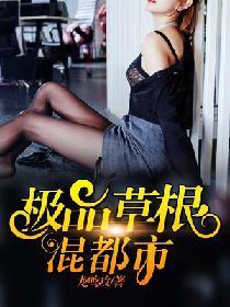 極品草根混都市
