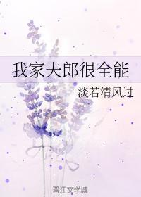 我家夫郎很全能