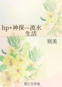 hp+神探---流水生活