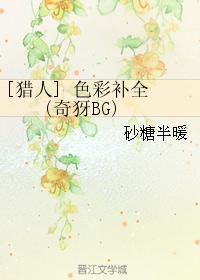[獵人]色彩補全 (奇犽BG)