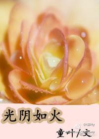 光陰如火(現代女尊)