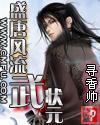 盛唐風流武狀元