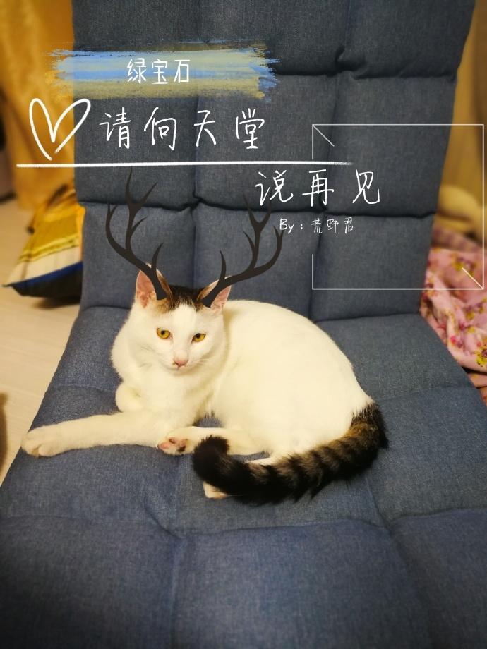 綠寶石請向天堂說再見