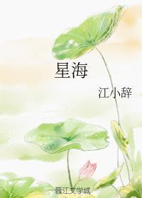 星海