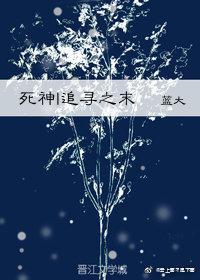 [死神] 追尋之末