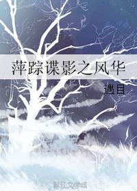 萍蹤諜影之風華