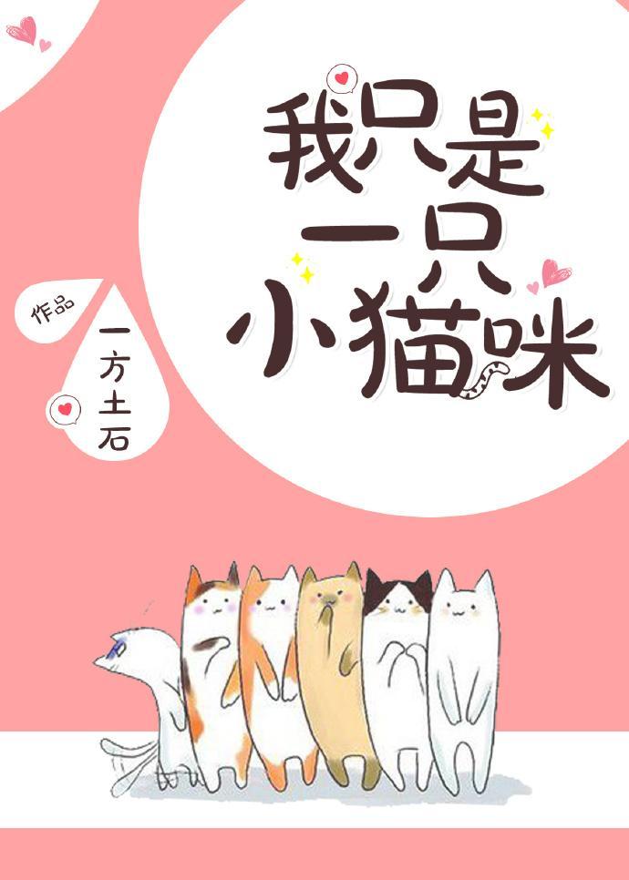 我只是一只小貓咪