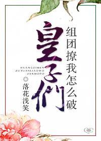 皇子們組團撩我怎麽破!
