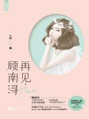 再見，顧南浔