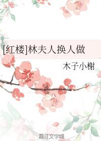 [紅樓]林夫人換人做