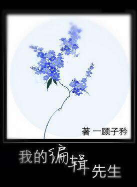 我的編輯先生