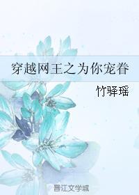 穿越網王之為你寵眷