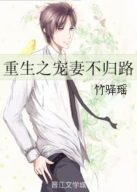 重生之寵妻不歸路