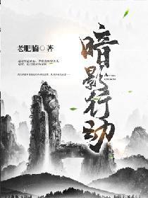 暗影行動