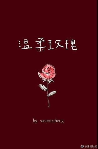 溫柔玫瑰[娛樂圈]