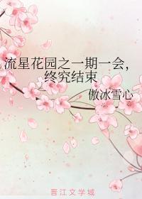 流星花園之一期一會，終究結束