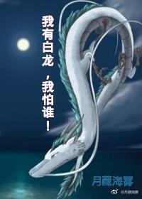 我有白龍,我怕誰!