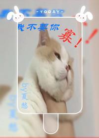 我不要你寡！