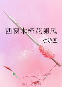 西窗木槿花随風