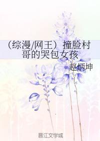 (綜漫網王)撞臉村哥的哭包女孩